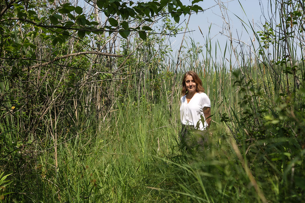 Edge of wetland.