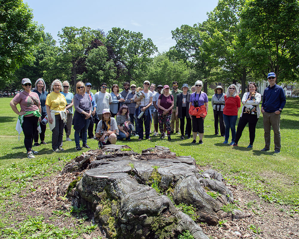 This group portrait at South Shore Park features the enormous stump of what was formerly the Champion Copper Beech tree, the largest of its species in Wisconsin.