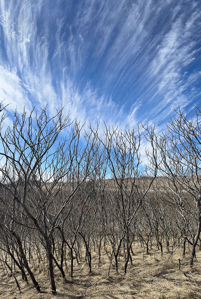 Emanations! Water Spirits Preserve, West Bend.