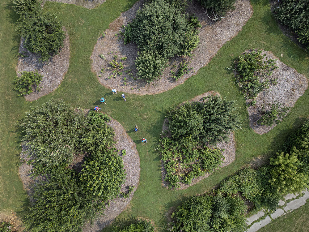 The cyclists took a break to explore the orchard in Washington Park.