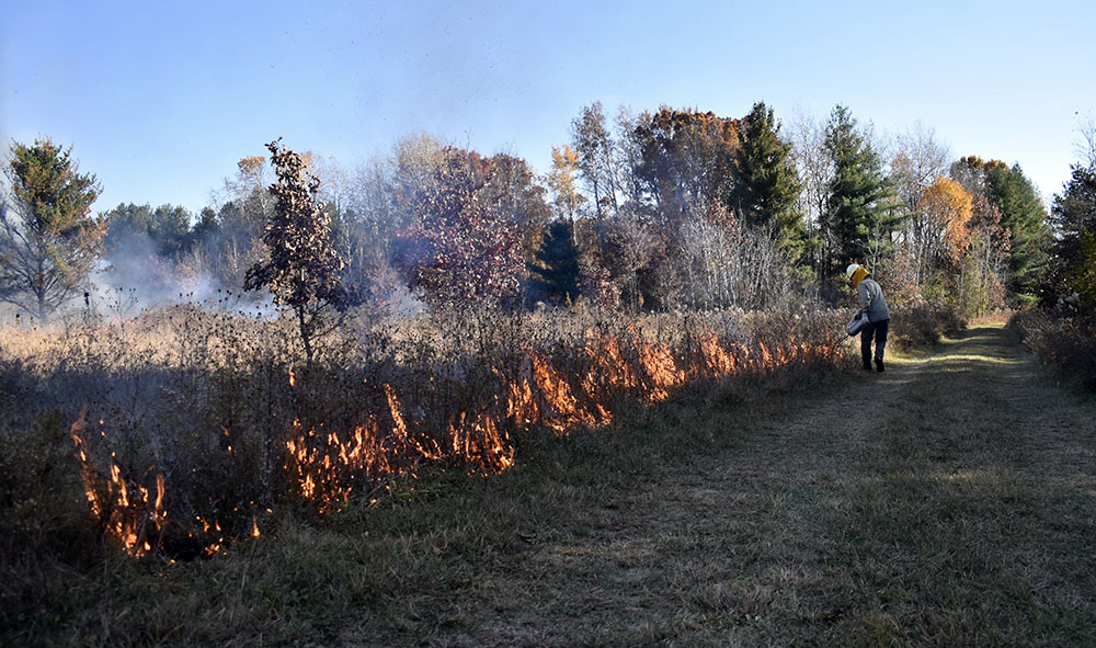 A controlled burn conducted at the site last fall. Photo by Helen Holtz.