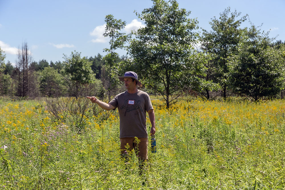 Ecologist Dan Carter in the wide-open field that had been congested with buckthorn.