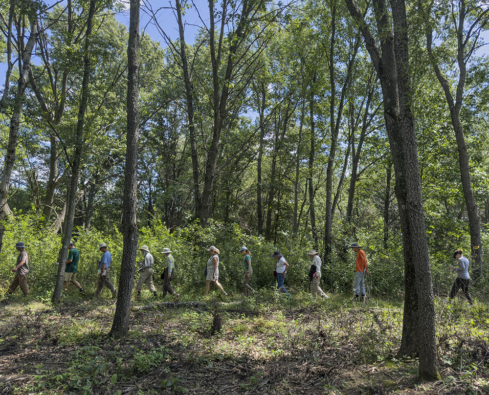 The tour group walks along the clearly demarcated edge within a woodland where buckthorn is being cleared.