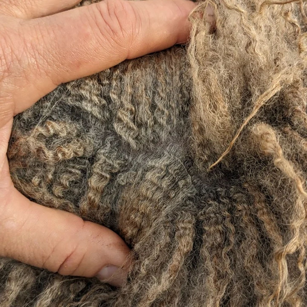 Shetland wool fleece