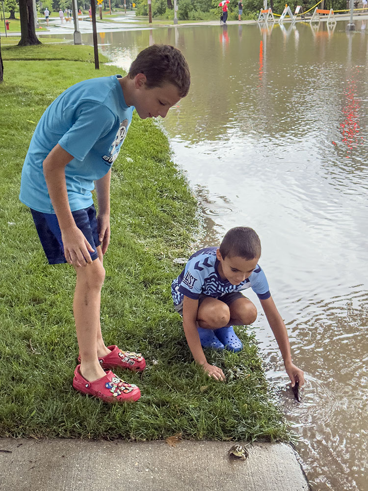 Two boys discover a frog on the flooded Menomonee River Parkway near Hoyt Park.