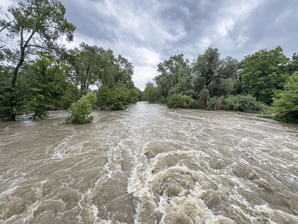 The burgeoning Menomonee River, normally a sedate stream, at Swan Boulevard in Wauwatosa.