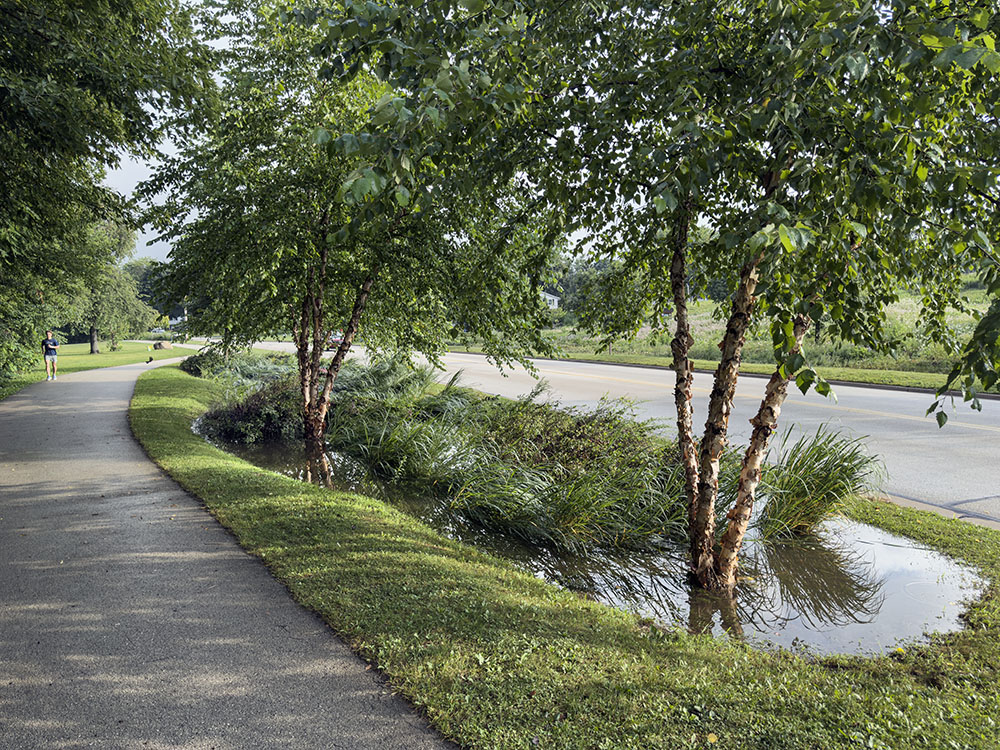 A raingarden on the Menomonee River Parkway next to Hartung Park, taken the next day after flood waters had receded.