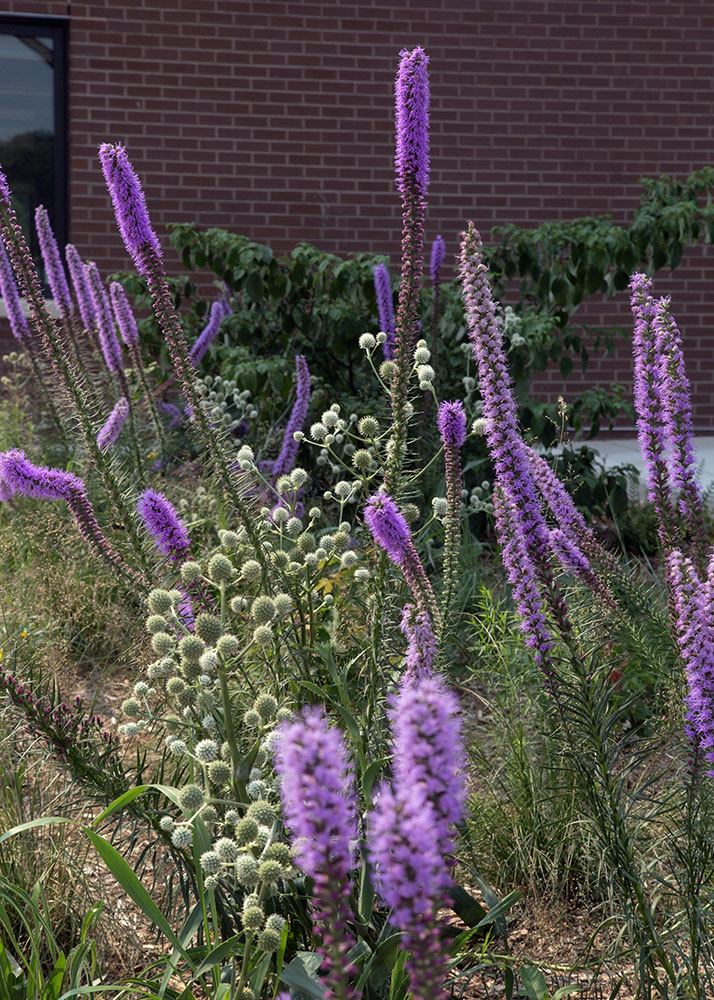A bouquet of wildflowers greets people at the entrance to the UEC.