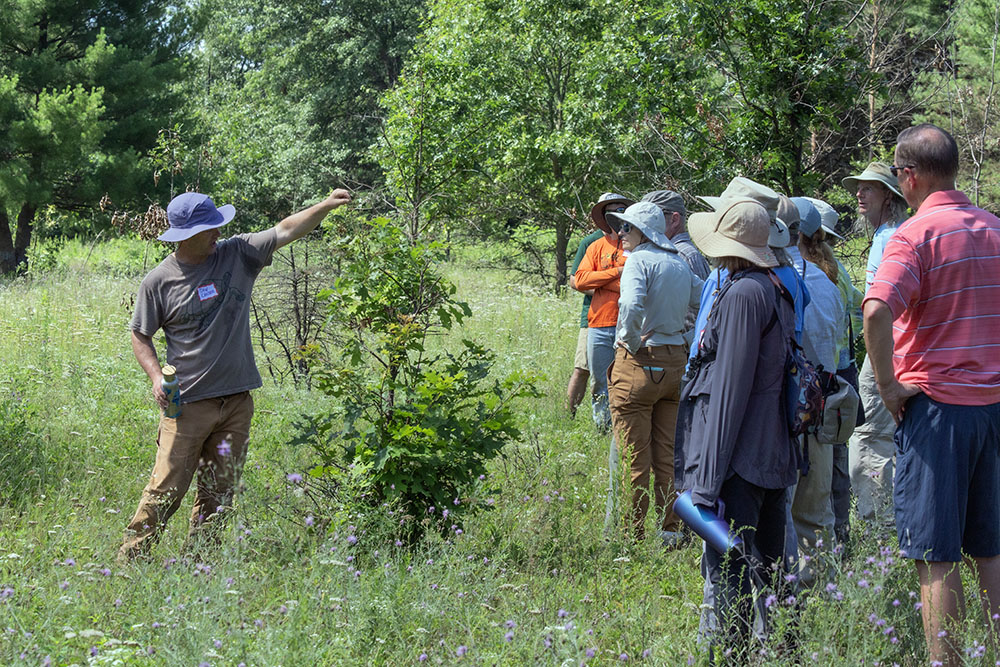 Carter with a young oak planted to help restore an oak savanna, which is essentially a grassland dotted with oaks and dependent on fire to prevent the incursion of other tree species.