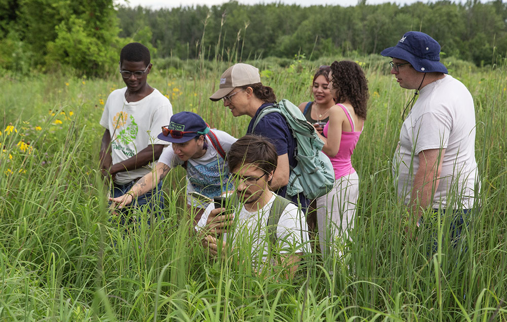 The BioBlitz is a group effort!