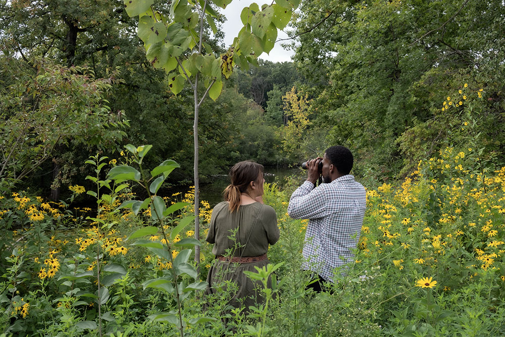 Birding at McGovern Park.