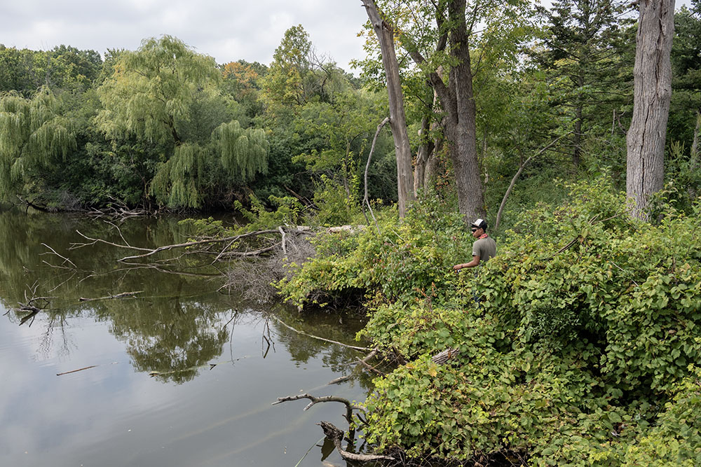 Fishing on the wild side of the lagoon.