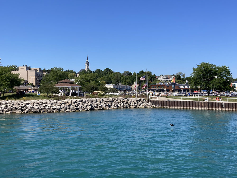 Picturesque Port Washington with a lone cormorant rising from the water.
