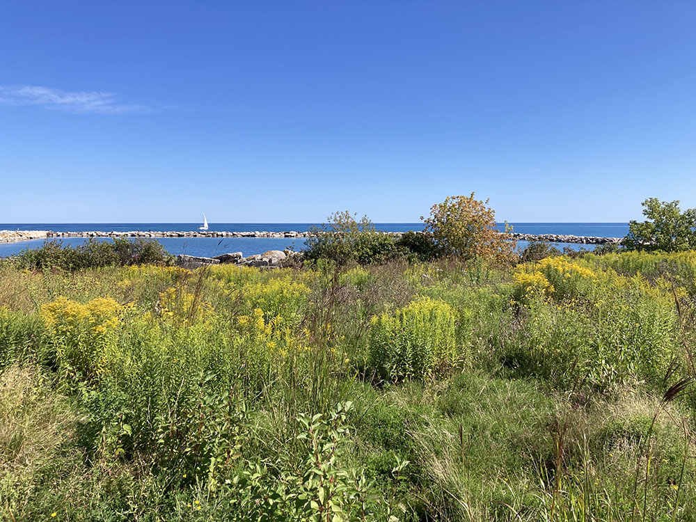 View from the prairie boardwalk toward the breakwater and open water of Lake Michigan.