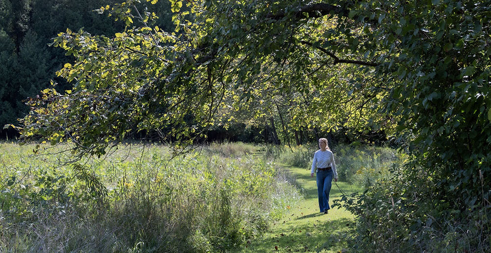 Artist in Residence Sheree Wood at Afterglow Farm