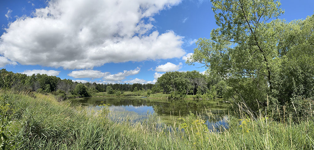 Panoramic view of Spirit Lake