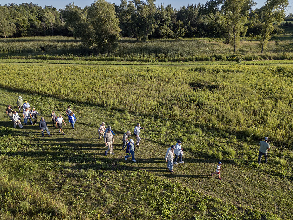 A small part of the tour group making its way across the grassland at Pukaite Woods.