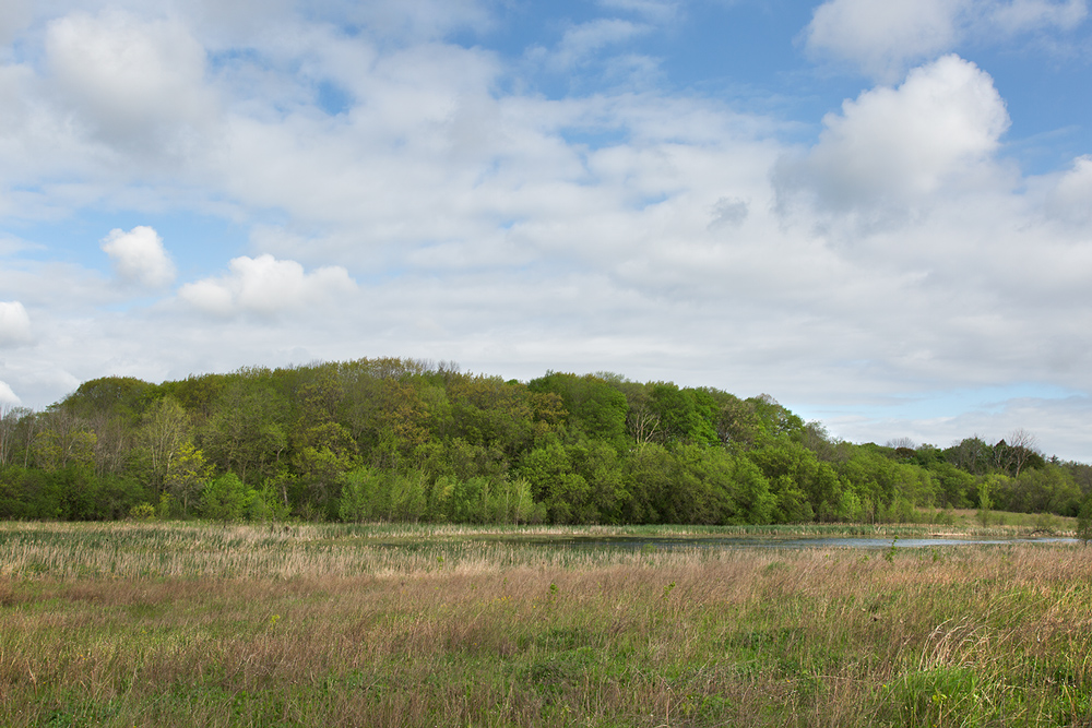 A wetland and pond at the western edge of Spirit Lake Preserve.