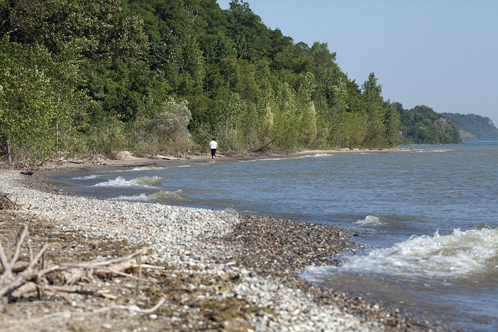They can also provide a solitary getaway from the urban bustle, such as at Doctors Park in Fox Point.