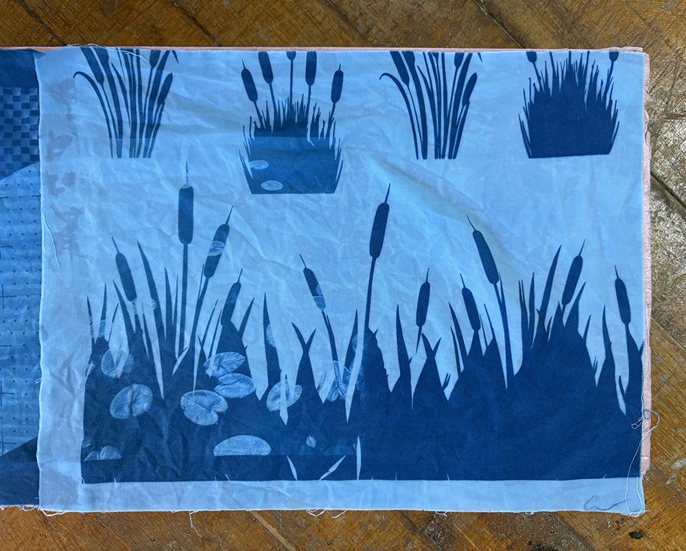 Lily pad and cattails cyanotype, 2025