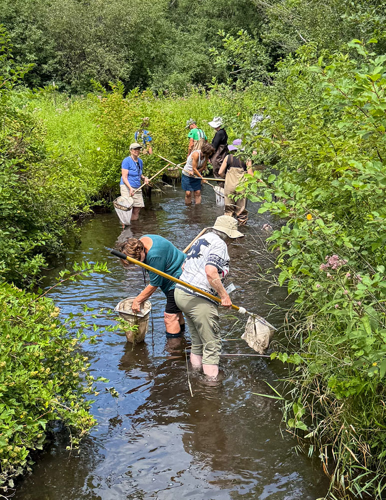 Collecting samples in Genesee Creek.