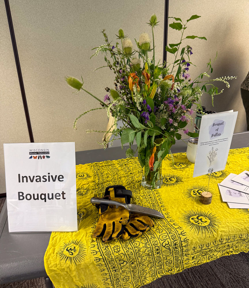 A training project on removing invasive plants by turning them into bouquets.