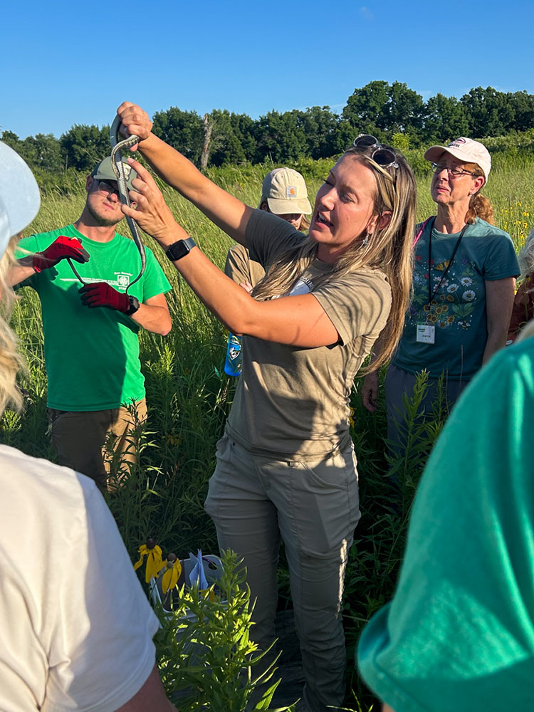 Identifying a snake caught during the snake survey at Retzer Nature Center.