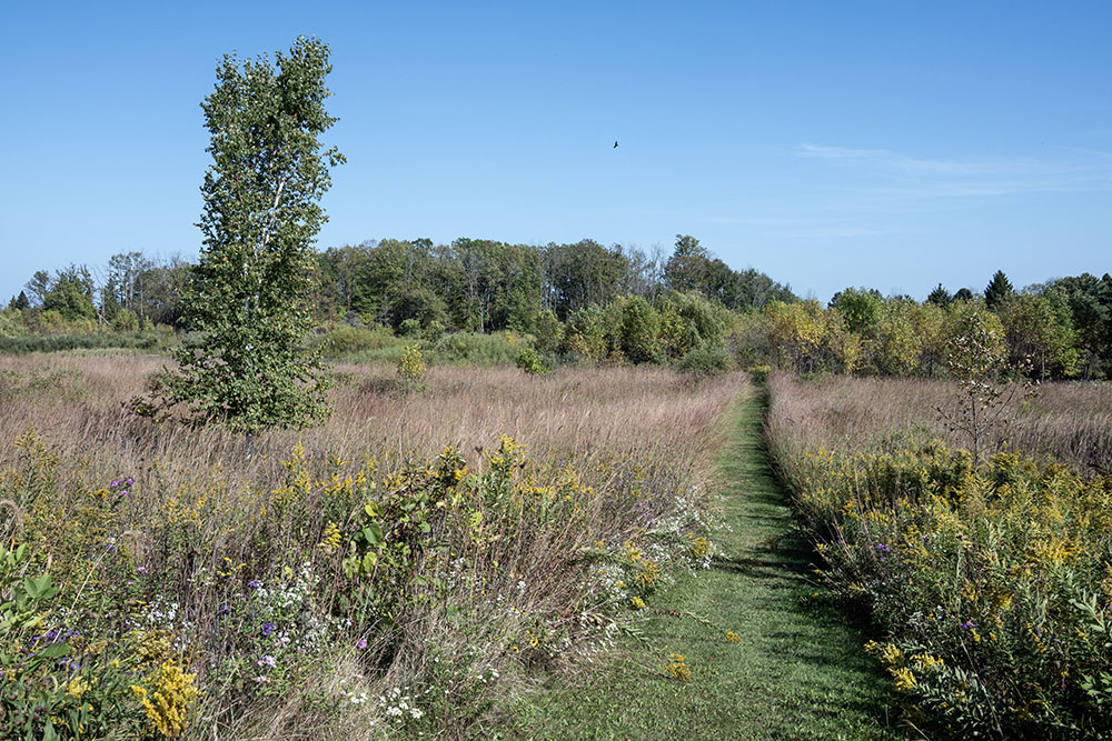 Prairie path.