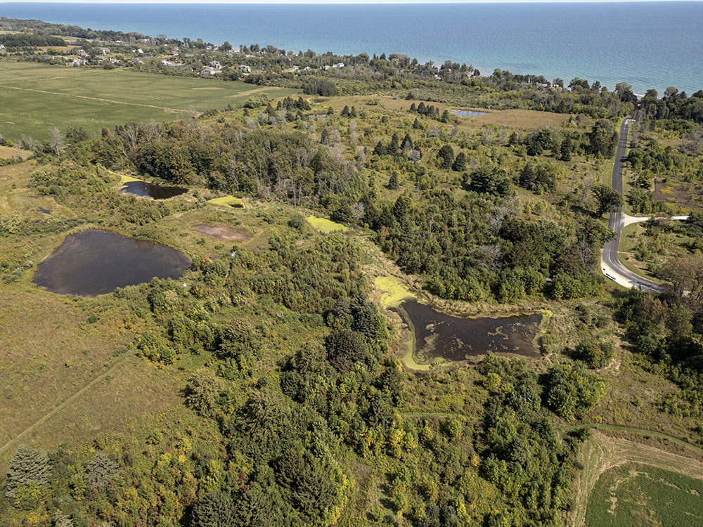 Aerial view of a portion of Forest Beach Migratory Preserve.