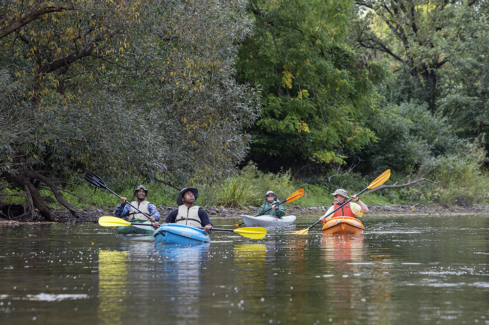 Four kayakers ply one of the oxbows on the Milwaukee River in Lincoln Park, Glendale.