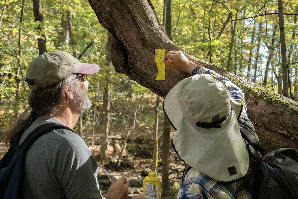Painting the distinctive yellow trail marker blaze on a tree trunk.