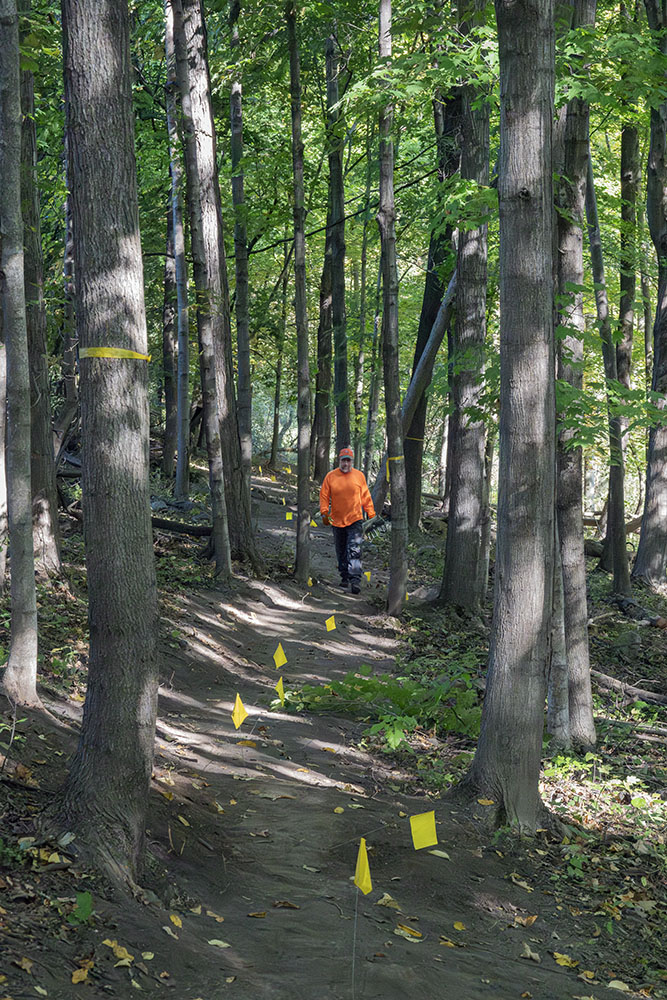 The completed trail in a woodland.