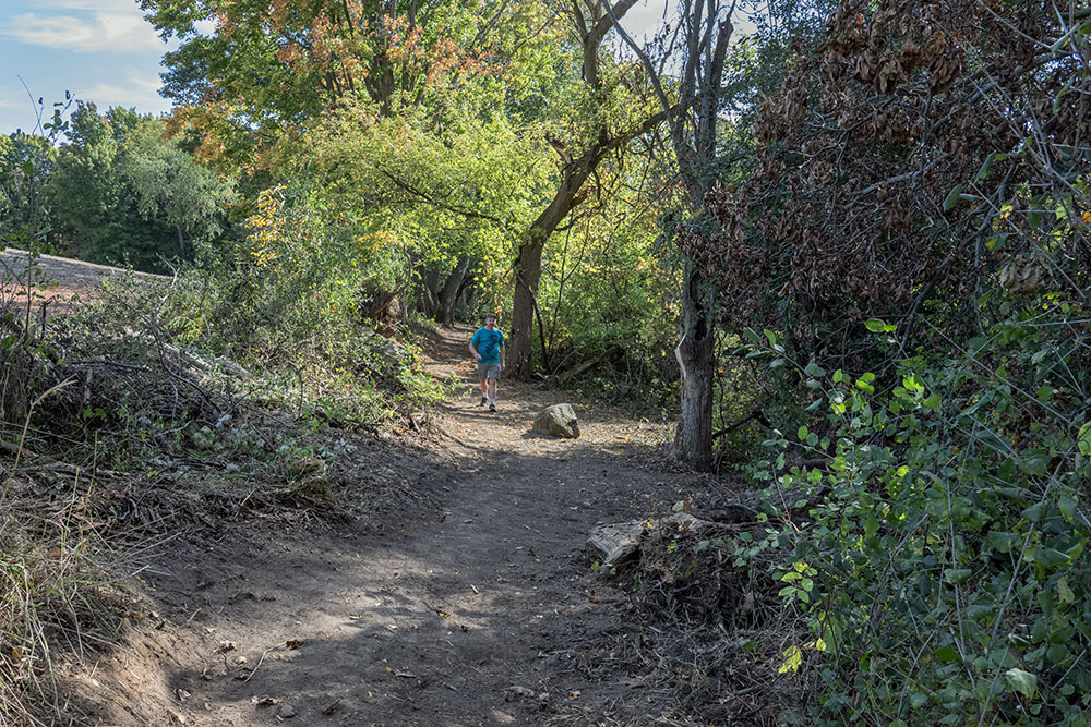 The same view of "The Jungle" after the trail was completed.