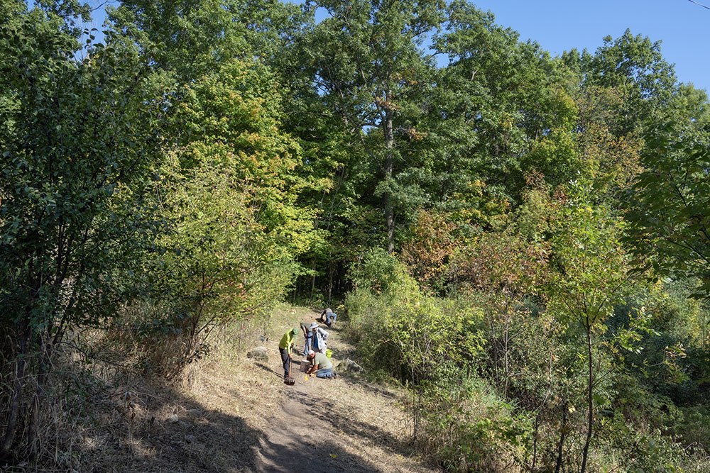 The undergrowth cleared for the new trail.