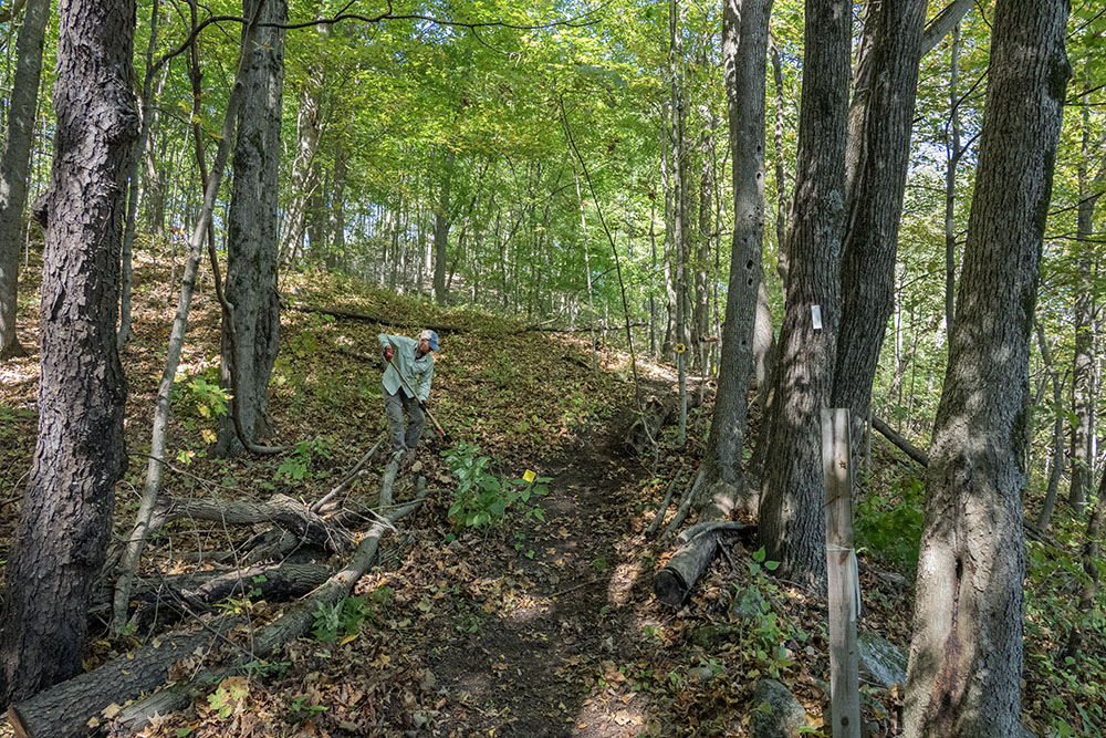 The trail skirts along the base of a large glacial kame at Fox Hill Nature Preserve.