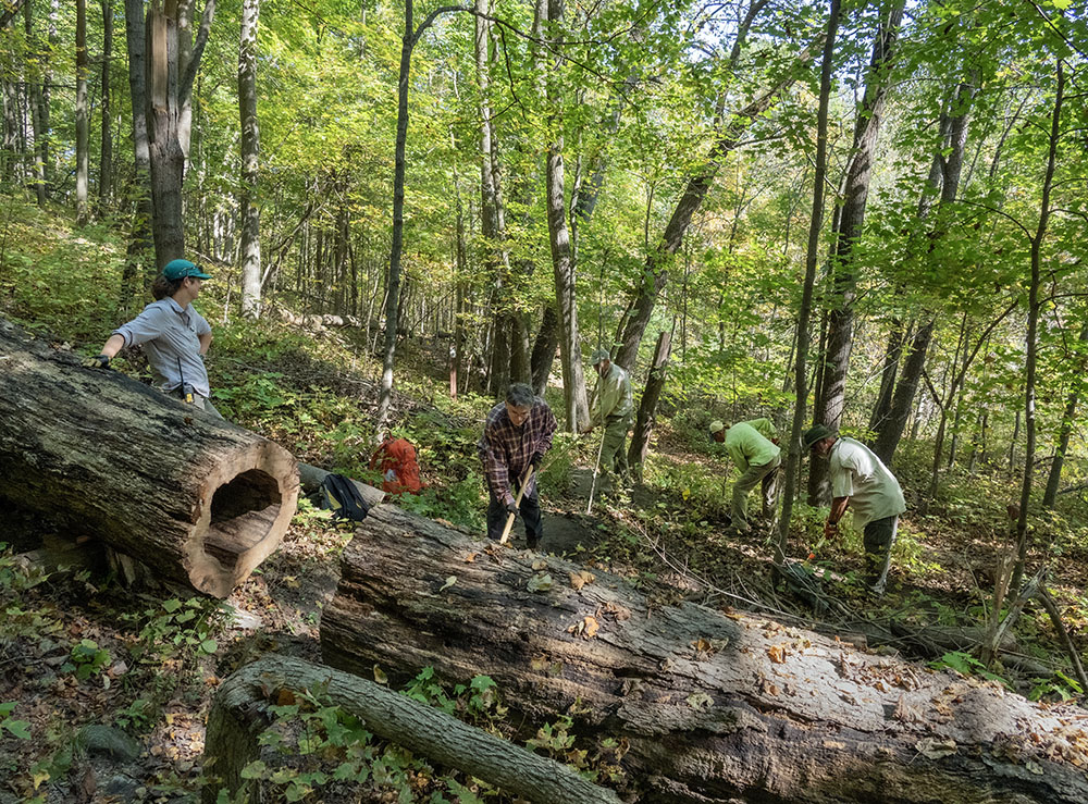 Volunteers from the local Ice Age Trail Alliance chapter receiving some "tread maintenance training" or "how to take care of the trail" at Fox Hill Nature Preserve.