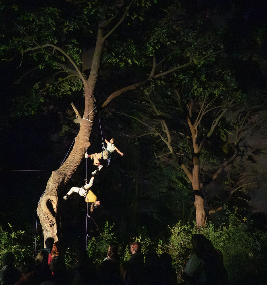 Into the Forest/Al Bosque - Somewhere [In] Between, Wild Space