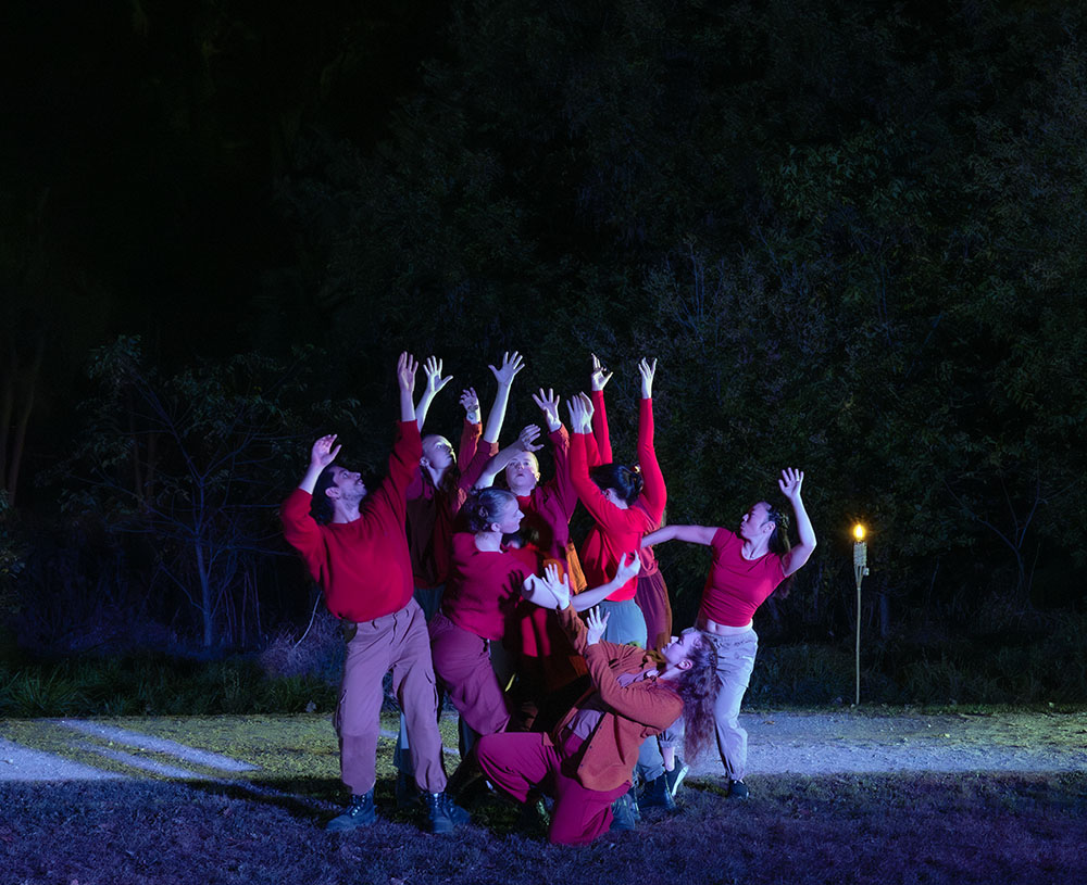 To the Six Directions/A Las Seis Direcciones, Wild Space