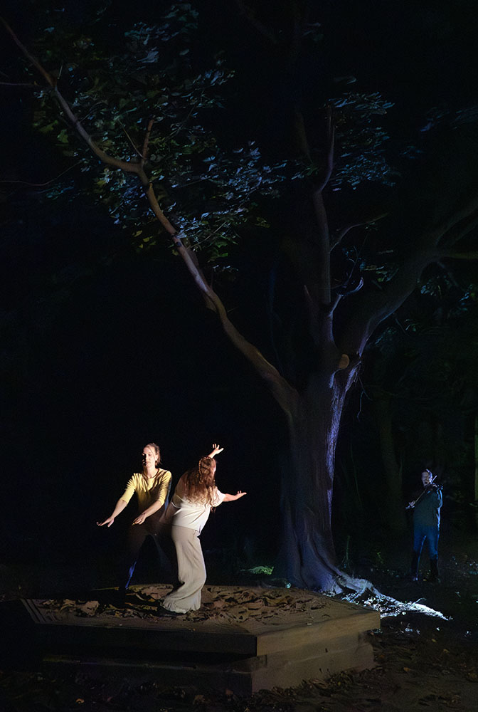Into the Forest/Al Bosque - TRACES, Wild Space