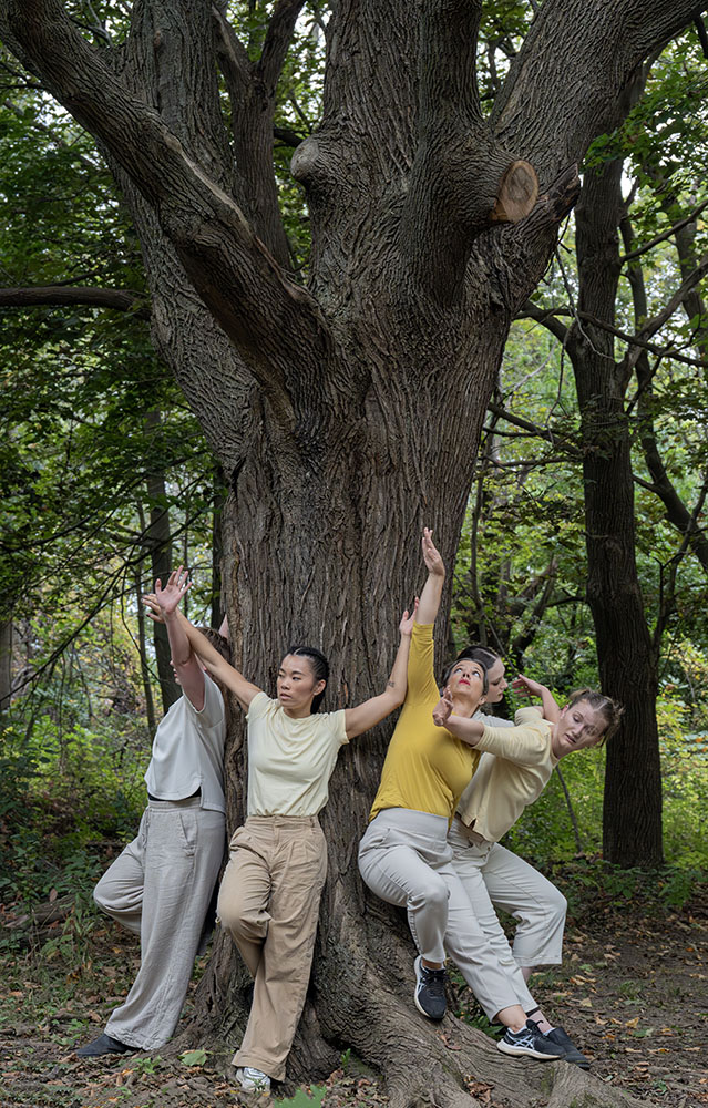 dancers around a large tree in TRACES by Wild Space
