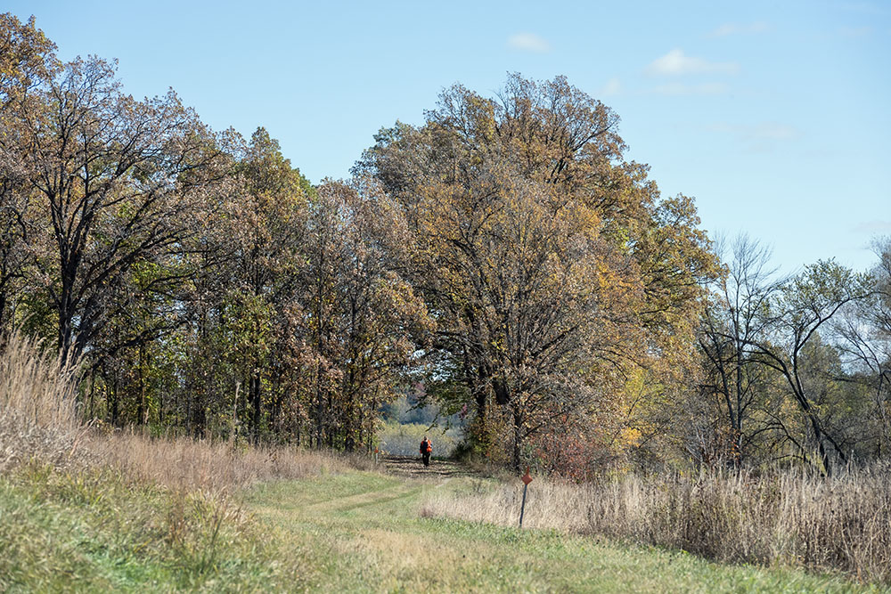 I arrived at Allenton State Wildlife Area in Washington County right at noon on the last day of the pheasant hunting season, which ended at noon. When we approached each other the hunter in the distance of this photo shared that he was pheasant-less. 
