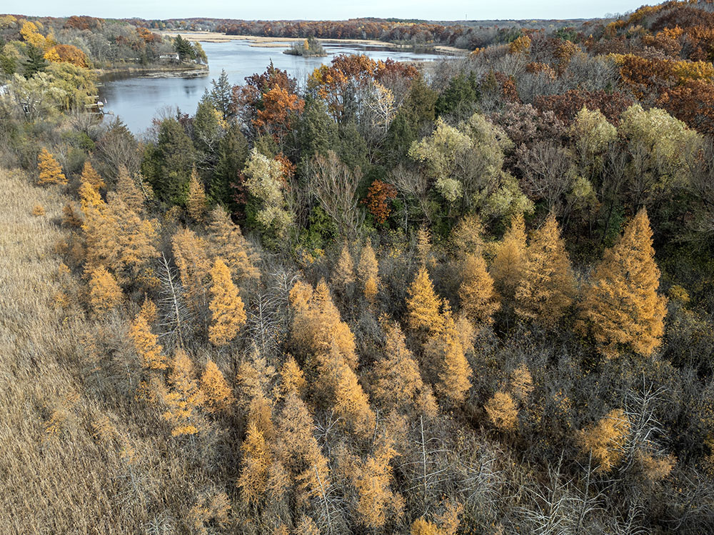 Honey Creek State Wildlife Area, in western Racine County, consists of four separate parcels. This one is at Long Lake, which is visible in the background.