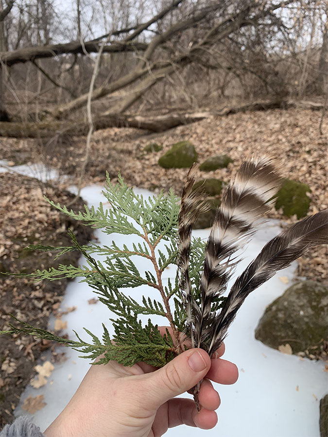 Treasures found on the frozen creek at Schoofs.