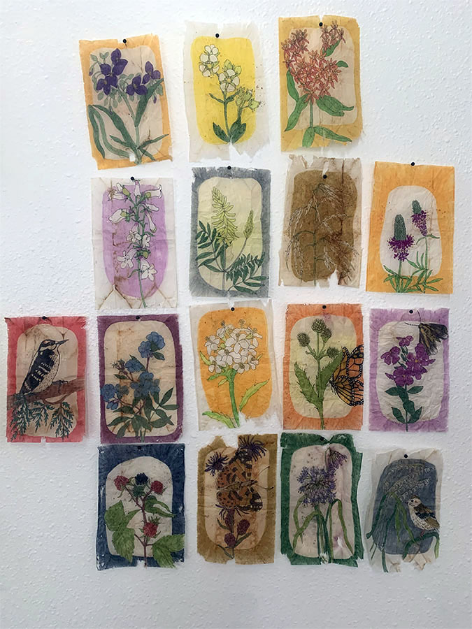 Tea bag illustrations of flora and fauna at Schoofs.
