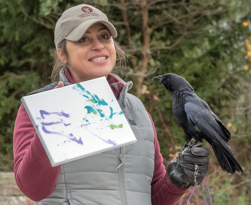 Raptor Program Director Lindsay Focht with Loki, aka "Crow-casso," and his avian-expressionist painting.