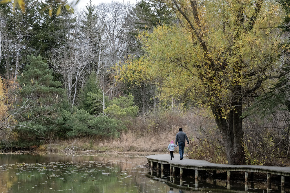 Father and daughter skipping along the boardwalk at Mystery Lake.