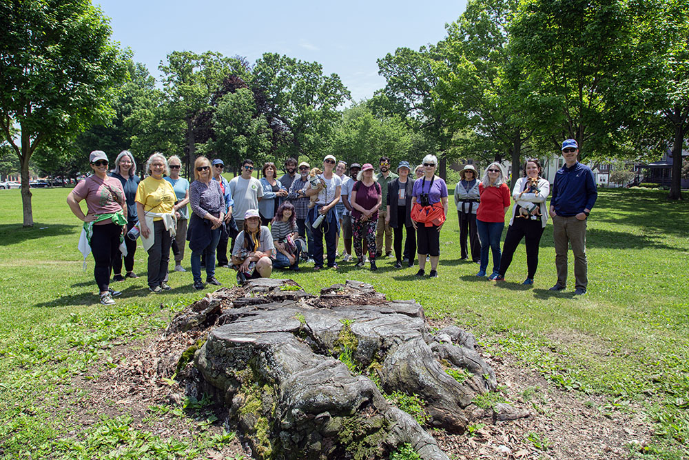 Tour group posing behind the stump of the copper beech. 2025.