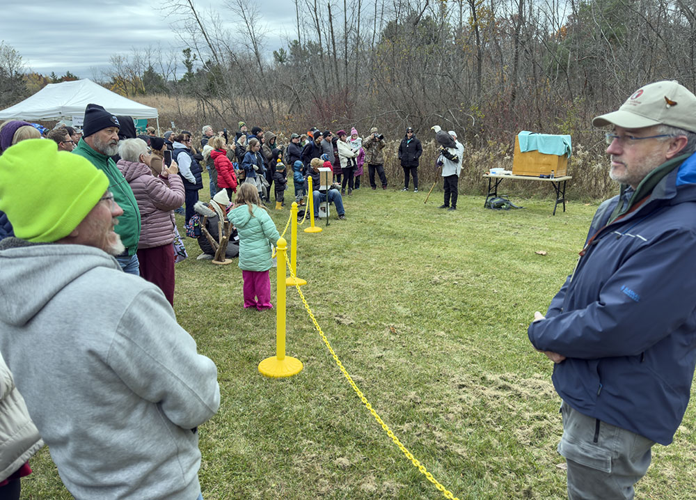 Valkyrie (background, next to box), the largest resident bird, draws a crowd during a special bald eagle Meet & Greet.