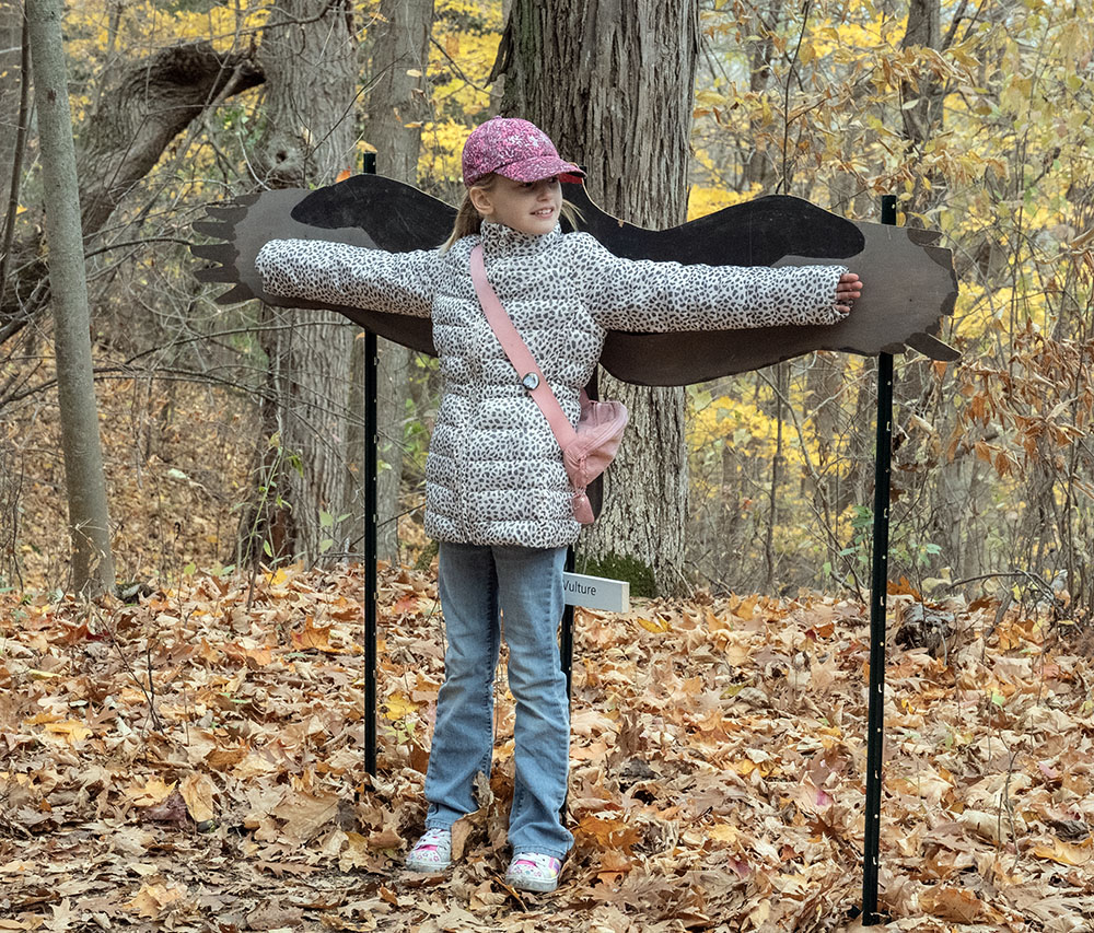 A girl compares her own "wingspan" with that of a turkey vulture.