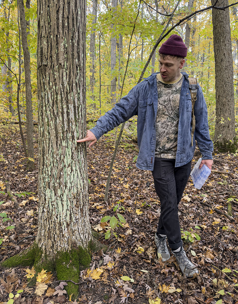 Brennon points to a colony of lichen on a tree trunk. Lichen is a hybrid of algae that lives symbiotically with multiple fungus species.